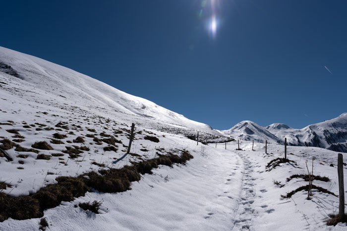 Le chemin Louise sur les hauteurs d'Hospice de France